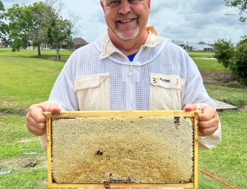 Buzzing with Purpose: Clay Henry’s Life After Acadian
