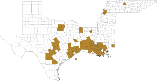 Locations | Acadian Ambulance Service